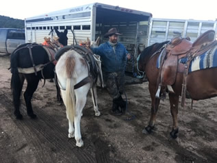 Loading to Bring an Elk In